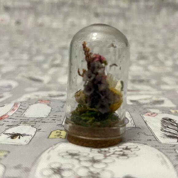 Handmade beetle dome taxidermy jar - Picture 6 of 6